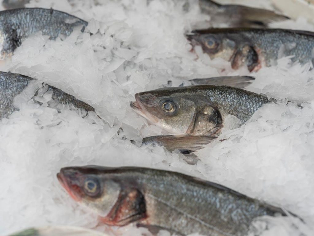 Bibanul de mare australian câștigă încrederea românilor. Are un gust premium la un preț cinstit 1 Bibanul de mare australian câștigă încrederea românilor. Are un gust premium la un preț cinstit