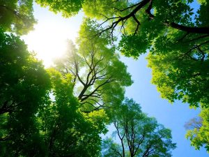 Planetă verde curată cu copaci sub cer senin.